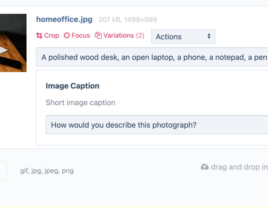 Screen shot of a ProcessWire image field detailing a field for an image description (ALT) and optional image caption.